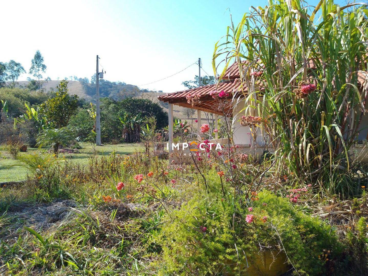 Chácara à venda com 2 quartos, 4000M2 - Foto 28