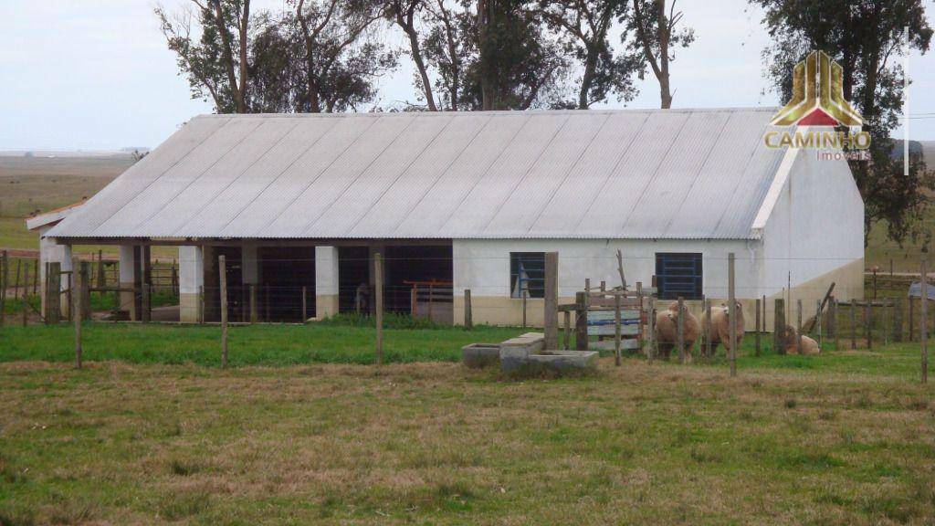 Fazenda à venda com 5 quartos, 33455000M2 - Foto 58