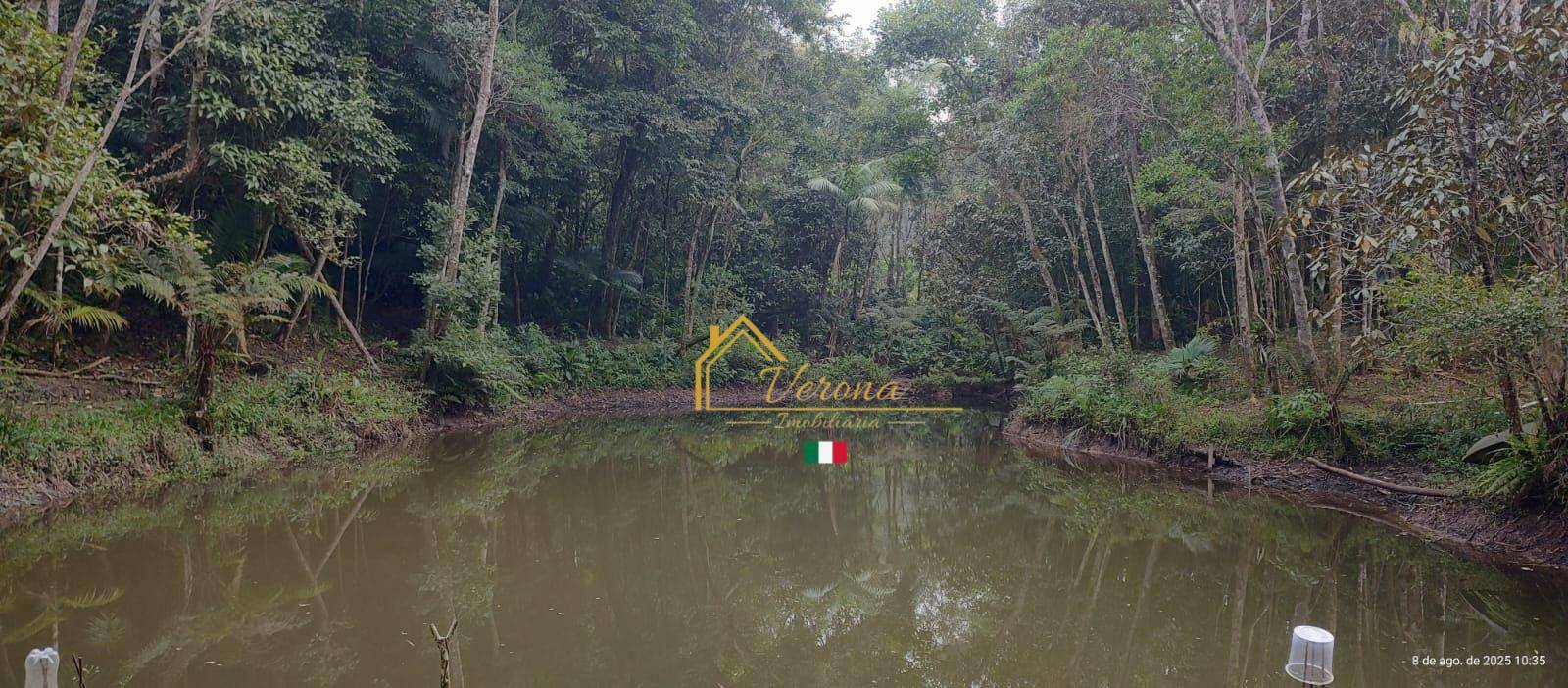 Chácara, 2 quartos, 5000 m² - Foto 4