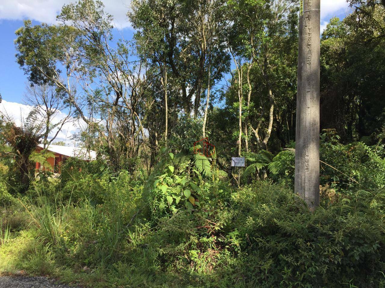 Terreno à venda, 790M2 - Foto 2