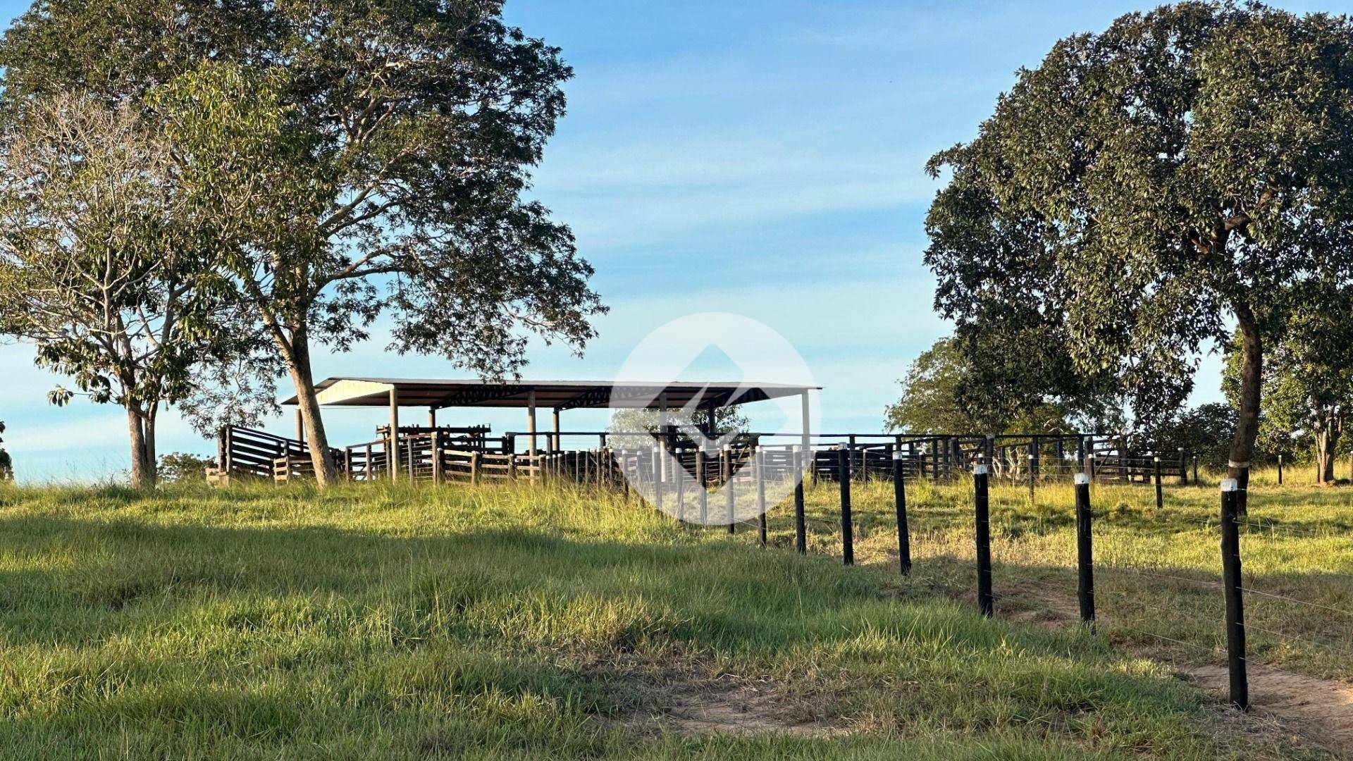 Fazenda à venda, 2500000M2 - Foto 4