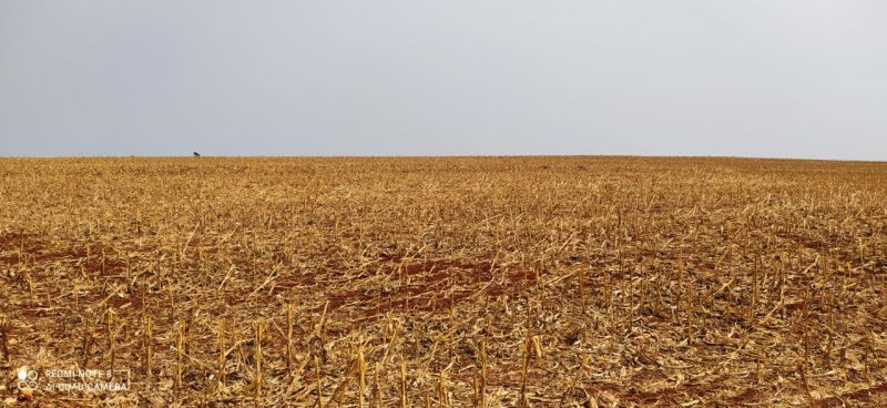 Fazenda-Sítio-Chácara, 108 hectares - Foto 1