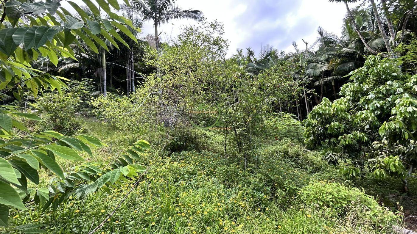 Sítio, 218 m² - Foto 20