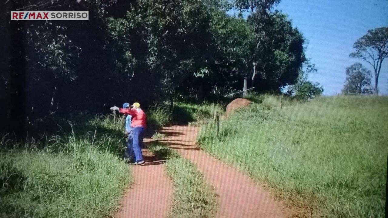 Fazenda à venda com 4 quartos, 242000M2 - Foto 15