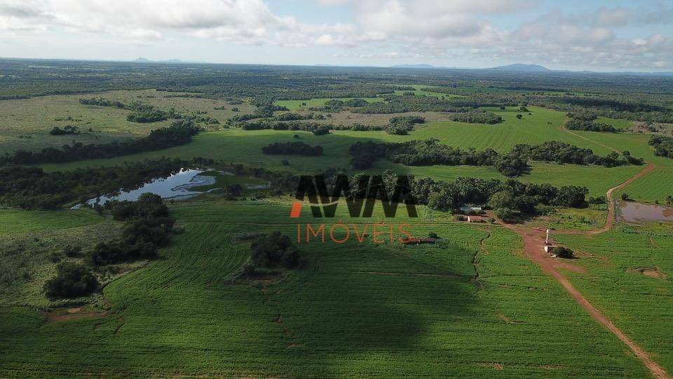 Fazenda à venda, 4774660M2 - Foto 11