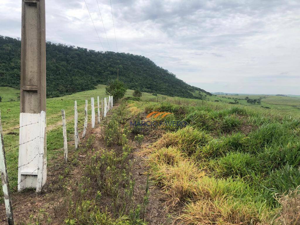 Fazenda à venda, 5808000M2 - Foto 9