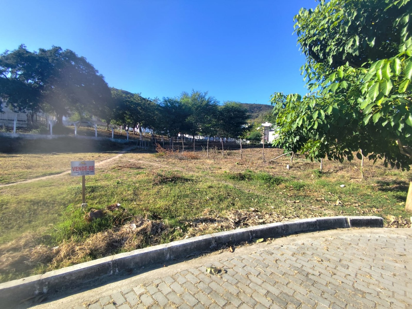 Terreno à venda, 204m² - Foto 2