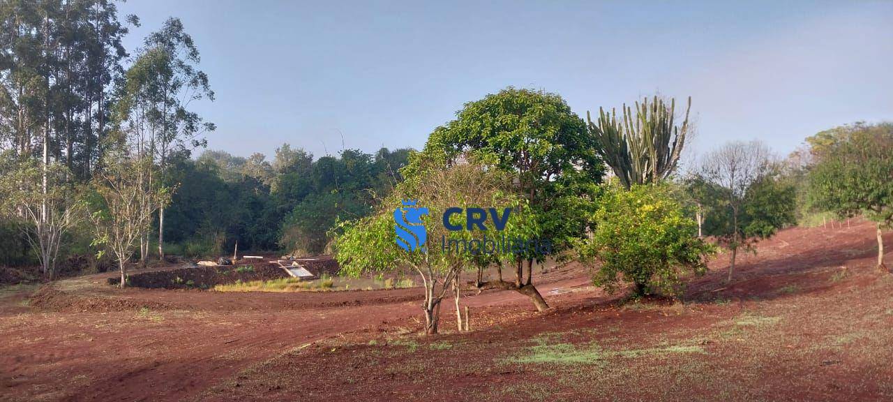 Sítio, 3 hectares - Foto 10