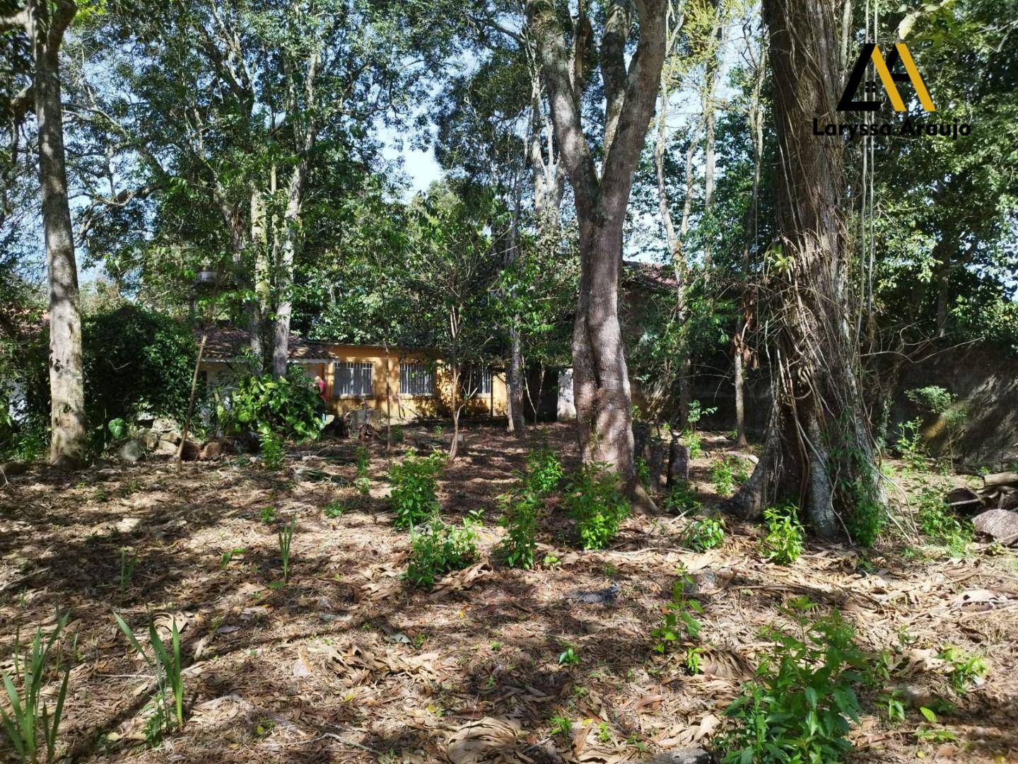 Chácara, 3 quartos, 2000 m² - Foto 27