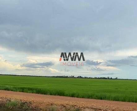 Fazenda-Sítio-Chácara, 7260 hectares - Foto 1