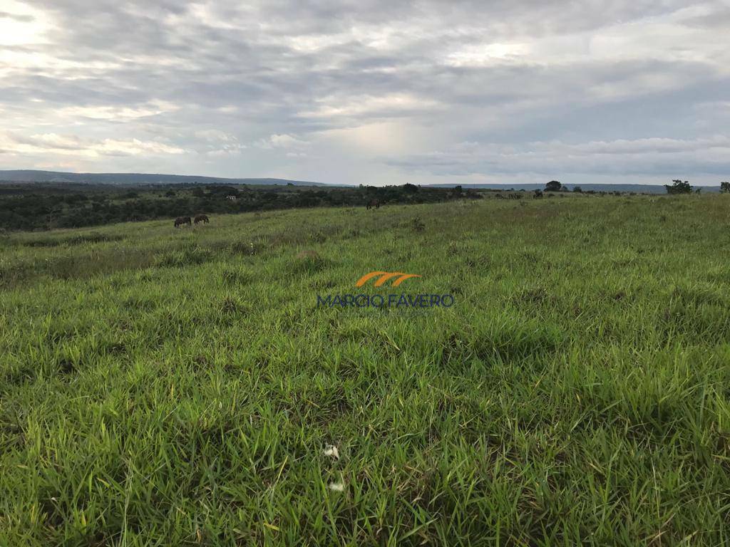 Fazenda à venda, 4250000M2 - Foto 25