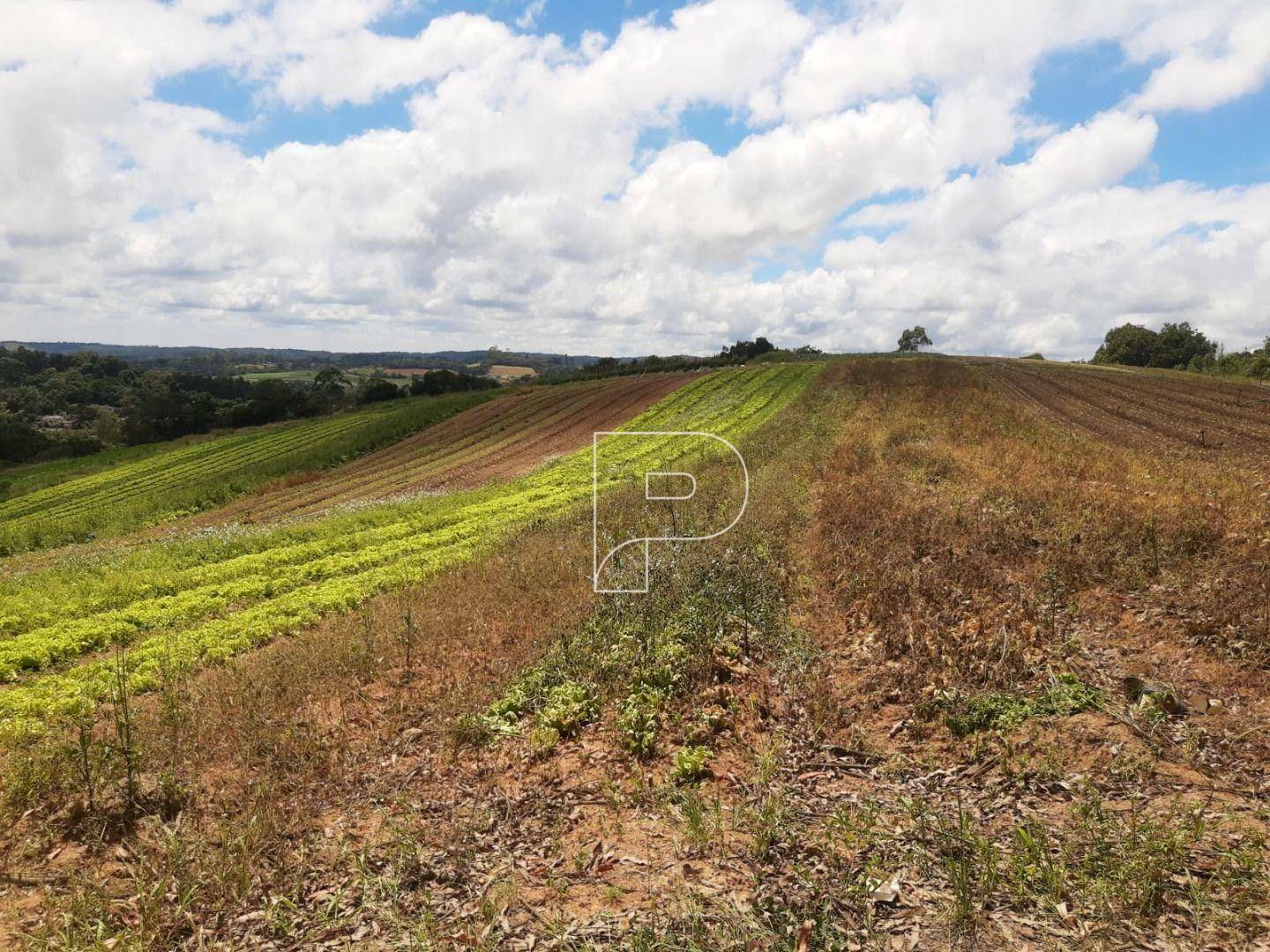 Terreno à venda, 39000M2 - Foto 33