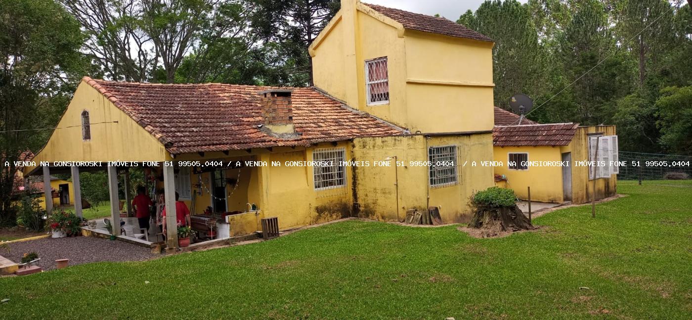 Fazenda à venda com 4 quartos, 130000m² - Foto 6