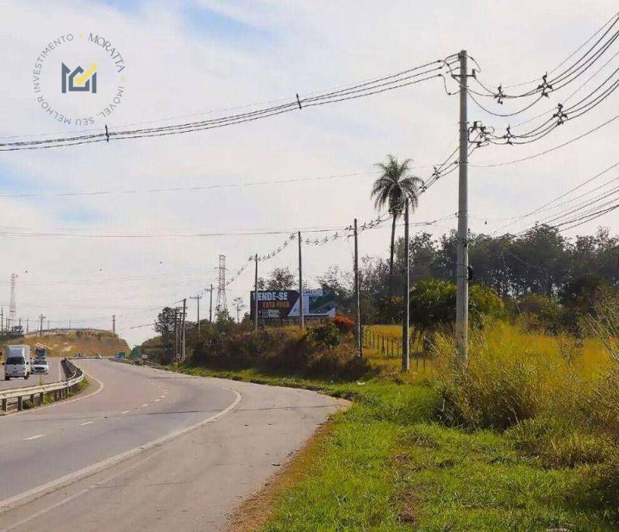 Terreno, 4 hectares - Foto 5