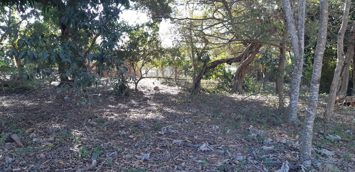 Chácara à venda com 3 quartos, 30000m² - Foto 38