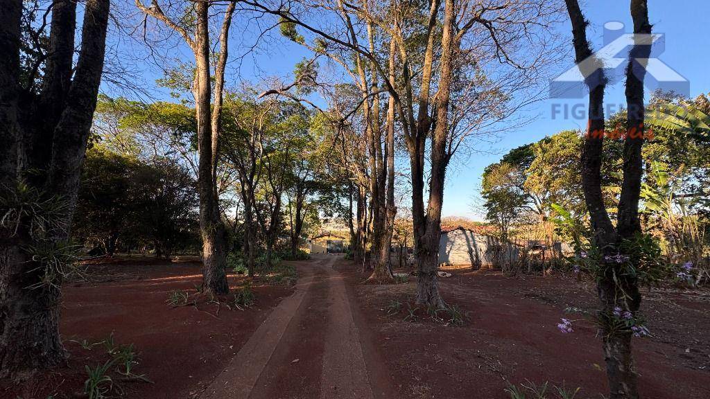 Sítio, 4 hectares - Foto 2