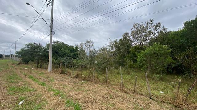 Terreno à venda, 10000m² - Foto 12