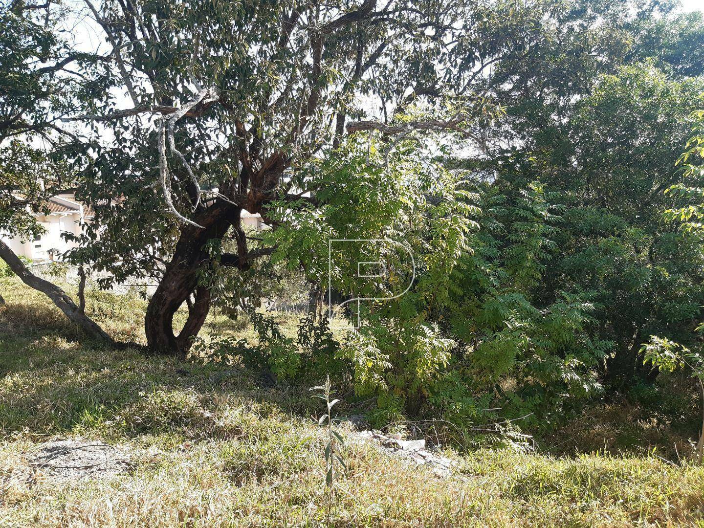 Terreno à venda, 1987M2 - Foto 6