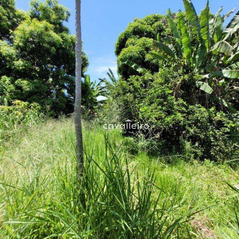 Terreno à venda, 900M2 - Foto 4