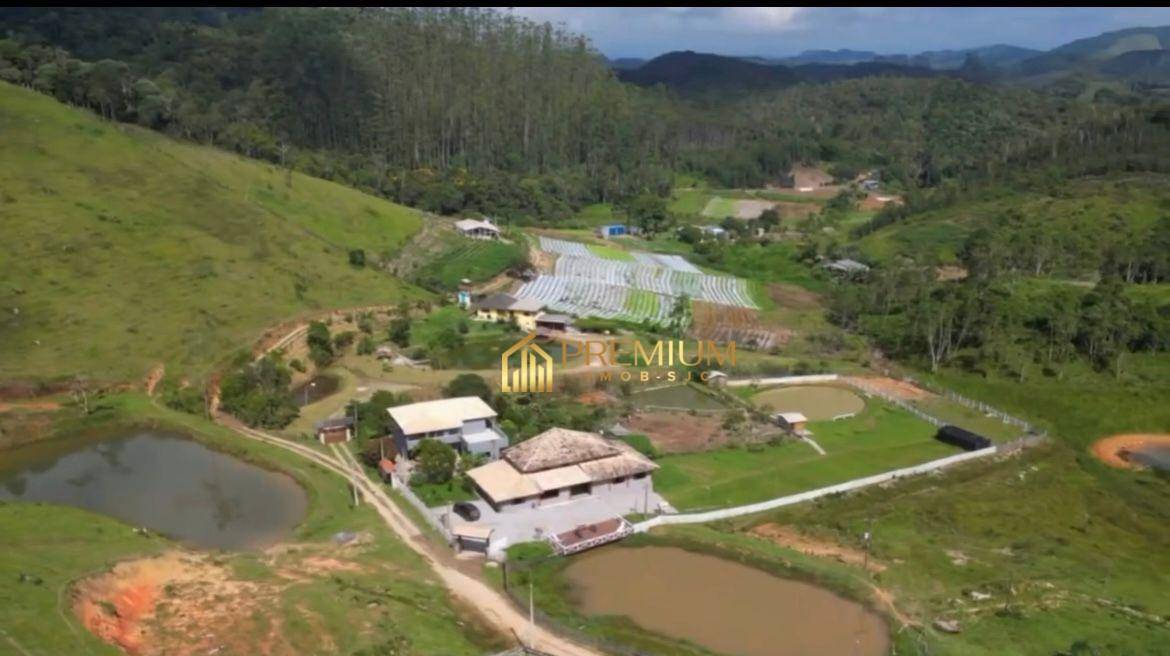 Chácara, 4 quartos, 4186 m² - Foto 5