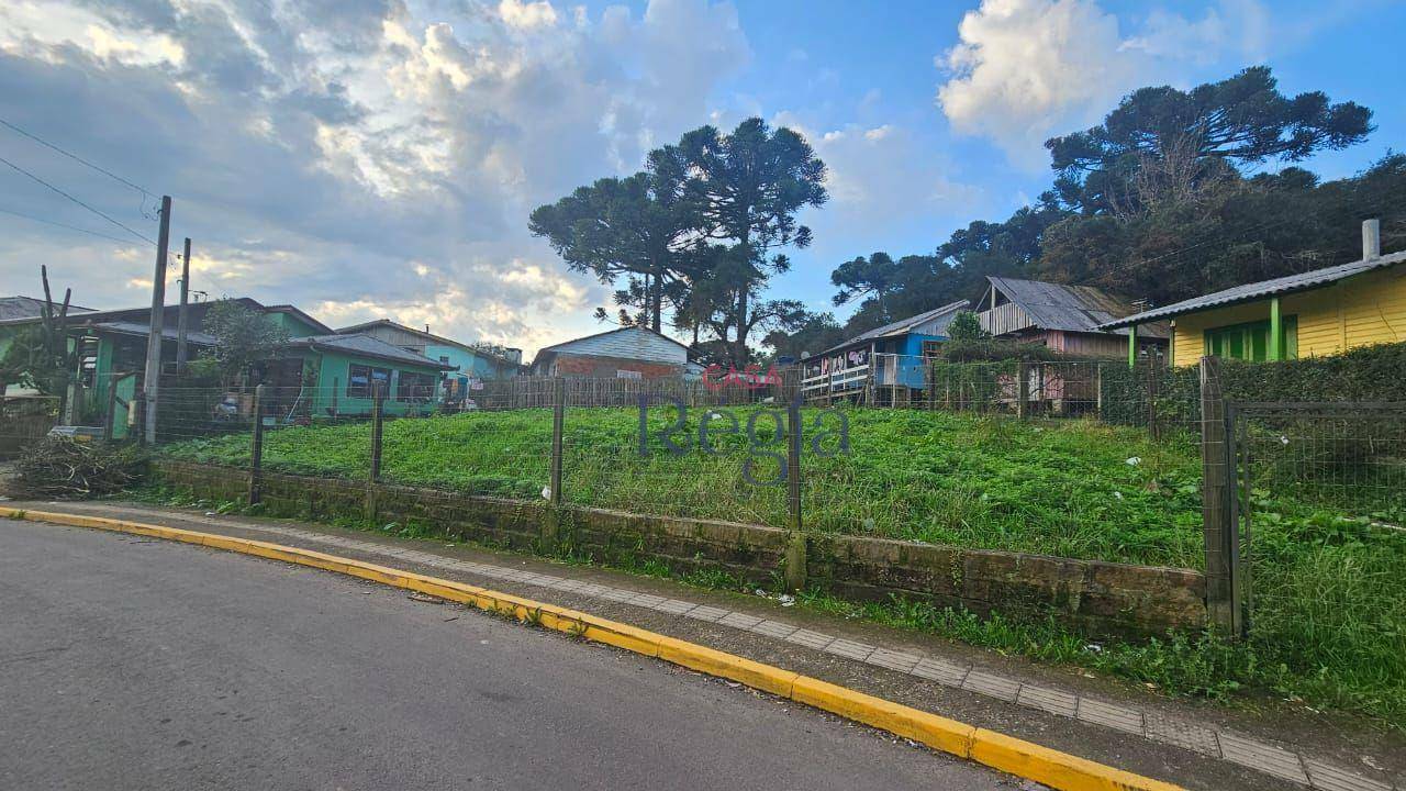 Terreno à venda, 317M2 - Foto 6