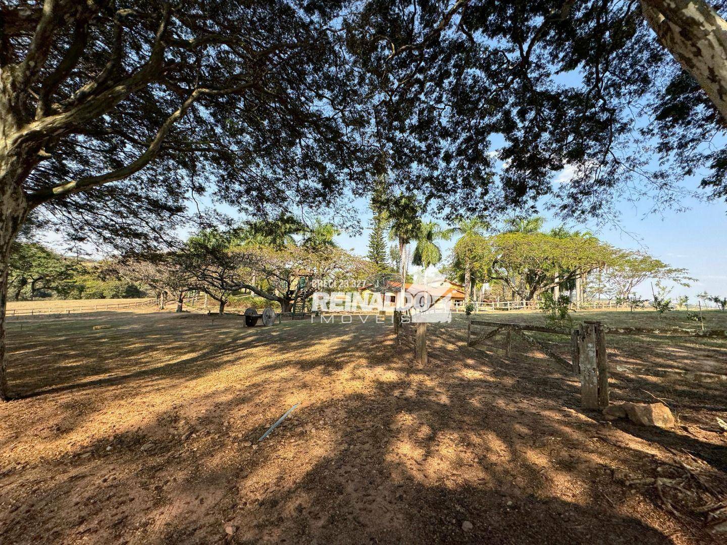 Haras e Área Rural Padrão à venda com 8 quartos, 5000m² - Foto 114