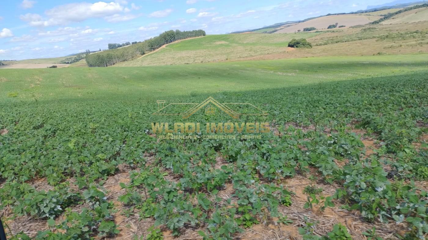 Fazenda à venda, 160m² - Foto 23