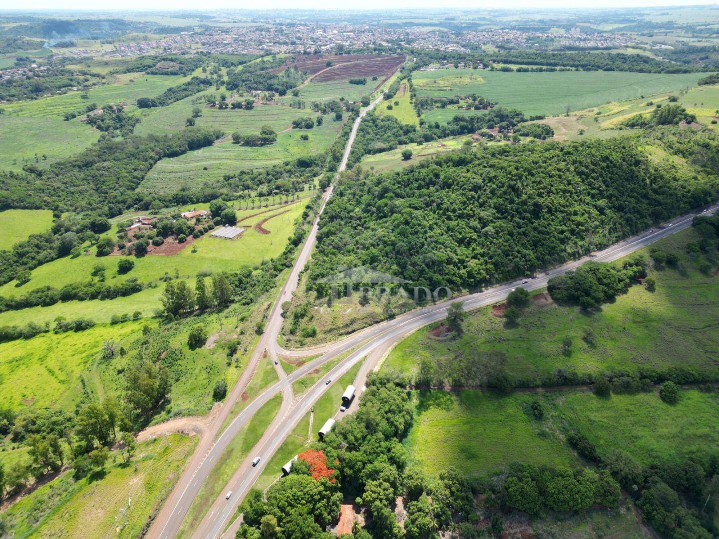 Sítio, 4 quartos, 7 hectares - Foto 3