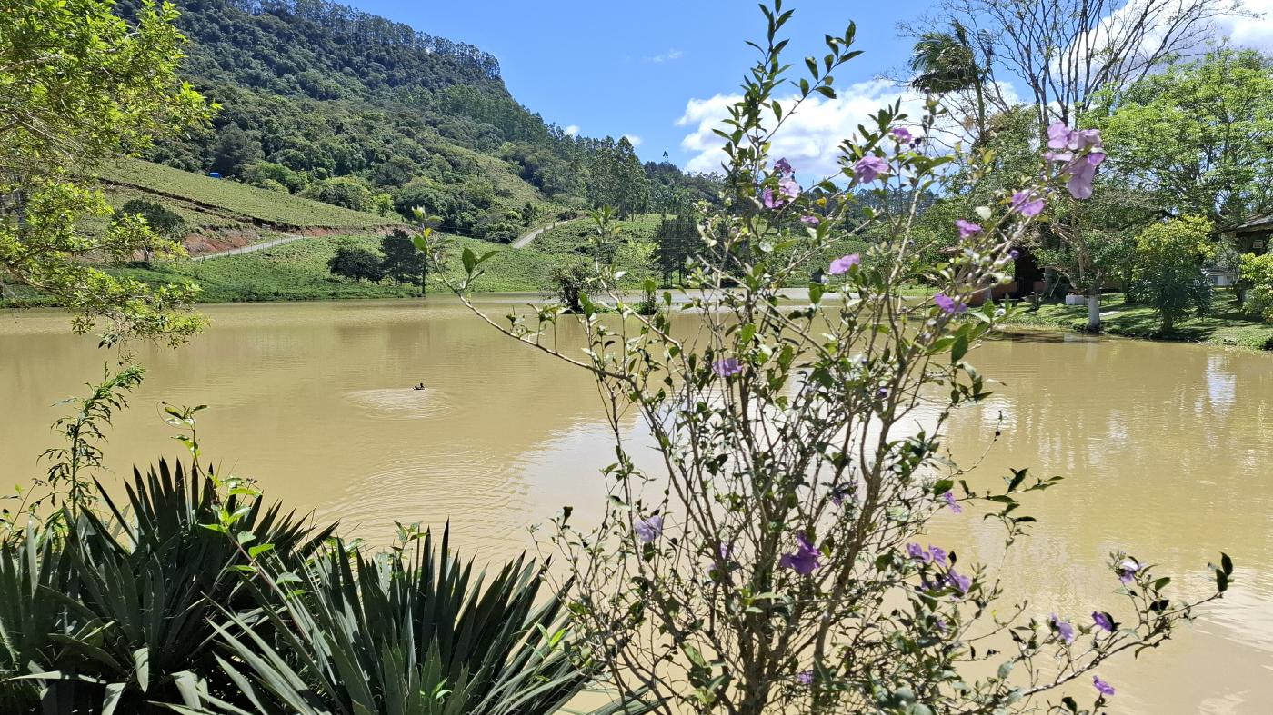 Fazenda à venda com 4 quartos, 1040000m² - Foto 39