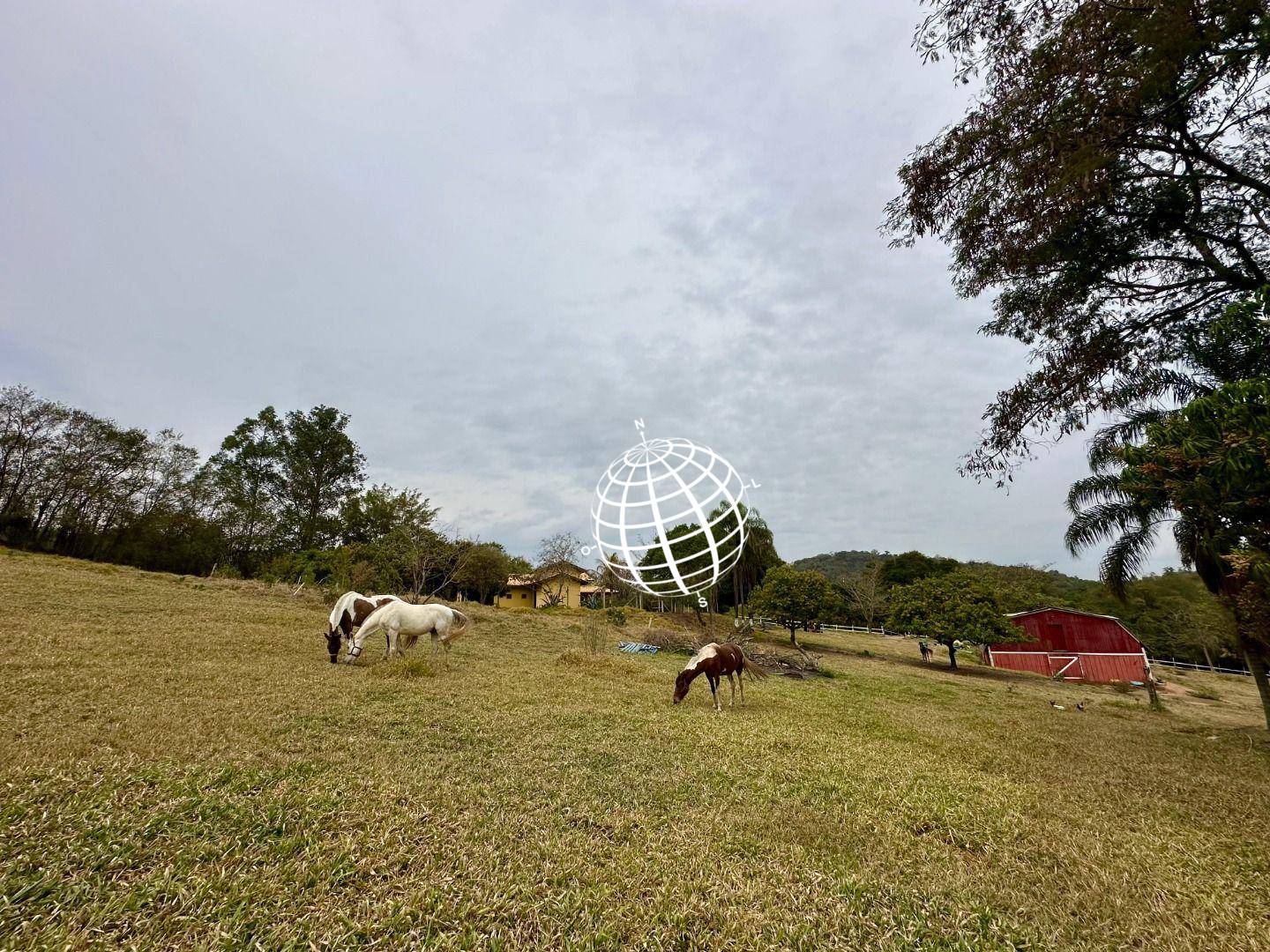 Fazenda, 9 hectares - Foto 1