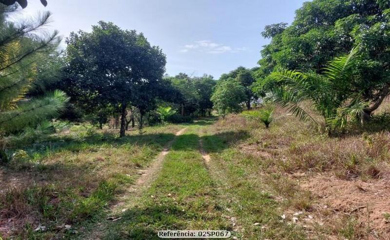 Fazenda à venda com 2 quartos, 100000m² - Foto 8