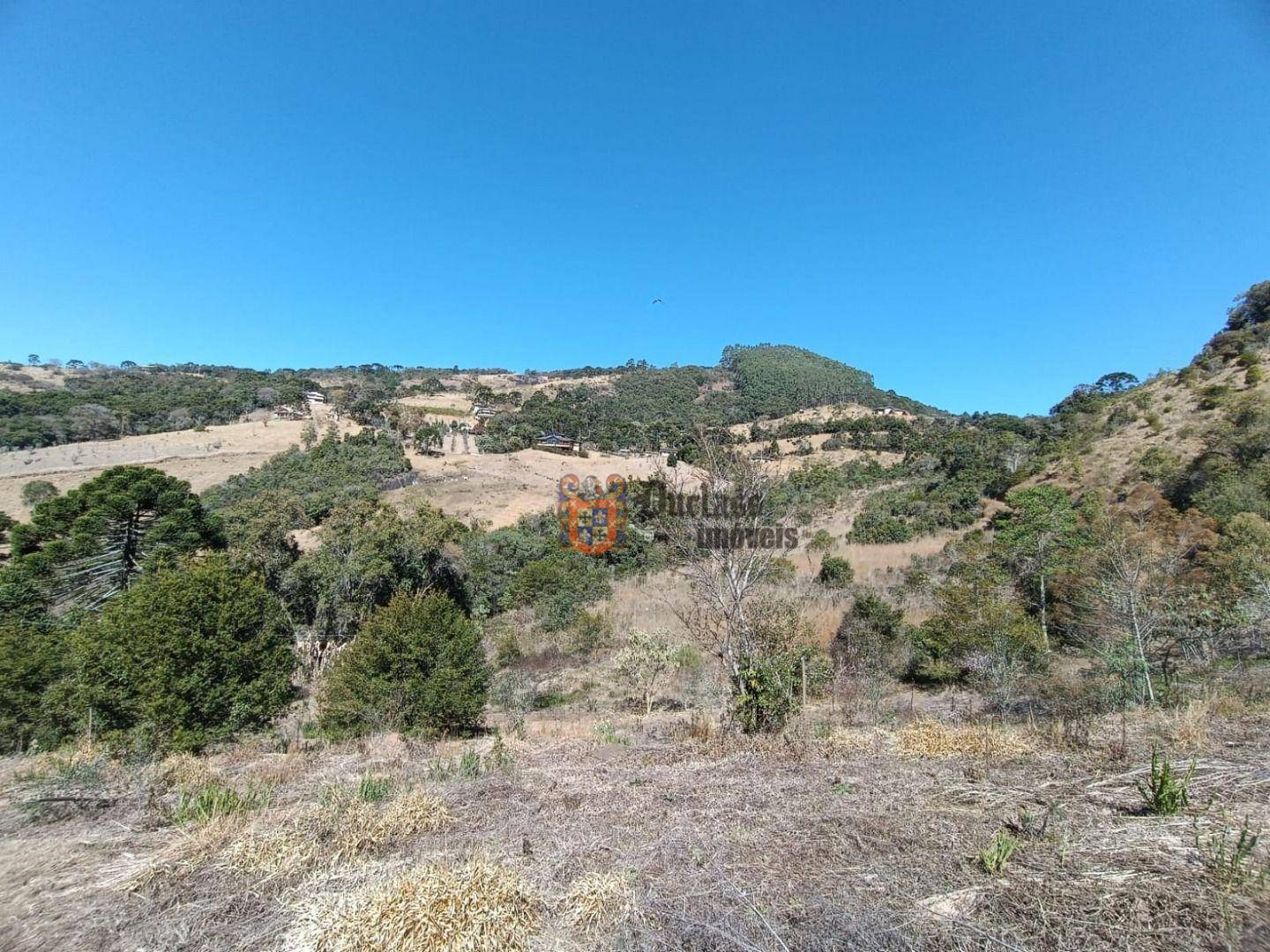 Terreno, 6 hectares - Foto 4