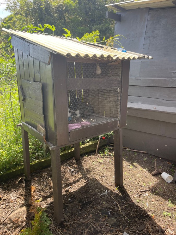 Chácara, 10000 m² - Foto 30