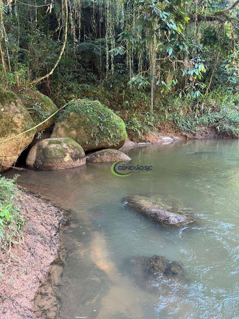 Sítio à venda com 2 quartos, 726000M2 - Foto 3