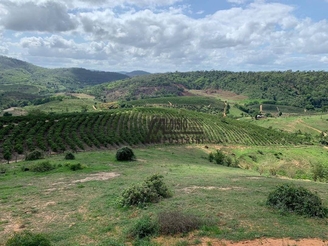 Fazenda à venda, 2420000M2 - Foto 11