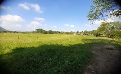 Fazenda à venda com 4 quartos, 72000m² - Foto 19