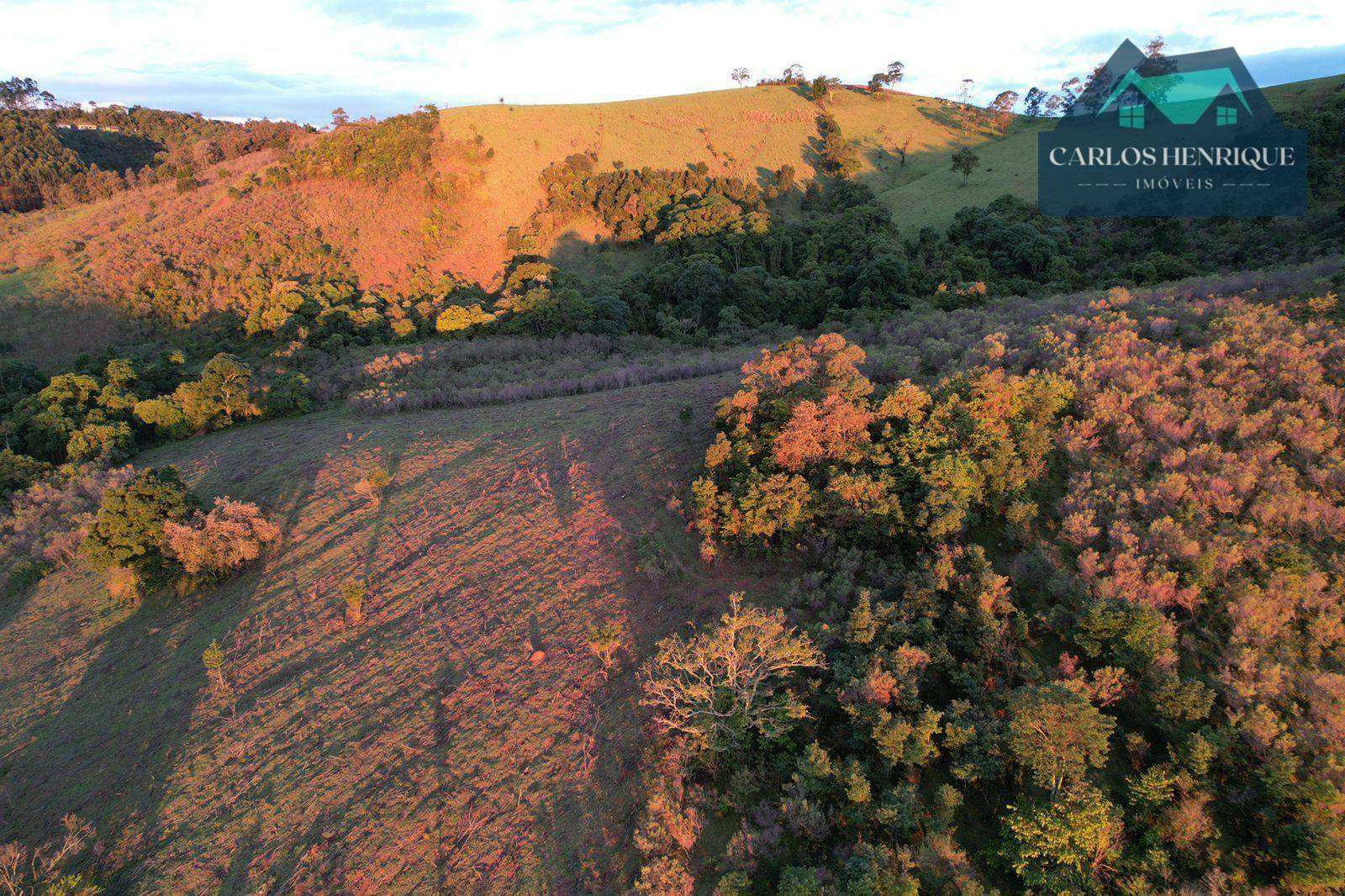 Terreno à venda, 20000M2 - Foto 23