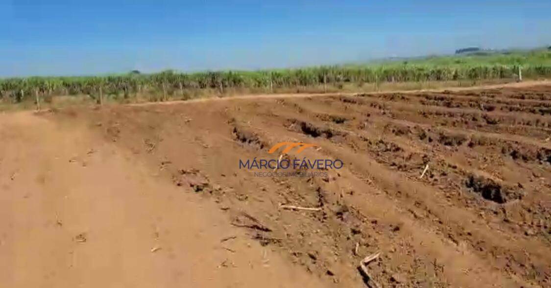 Fazenda à venda, 1089000M2 - Foto 8