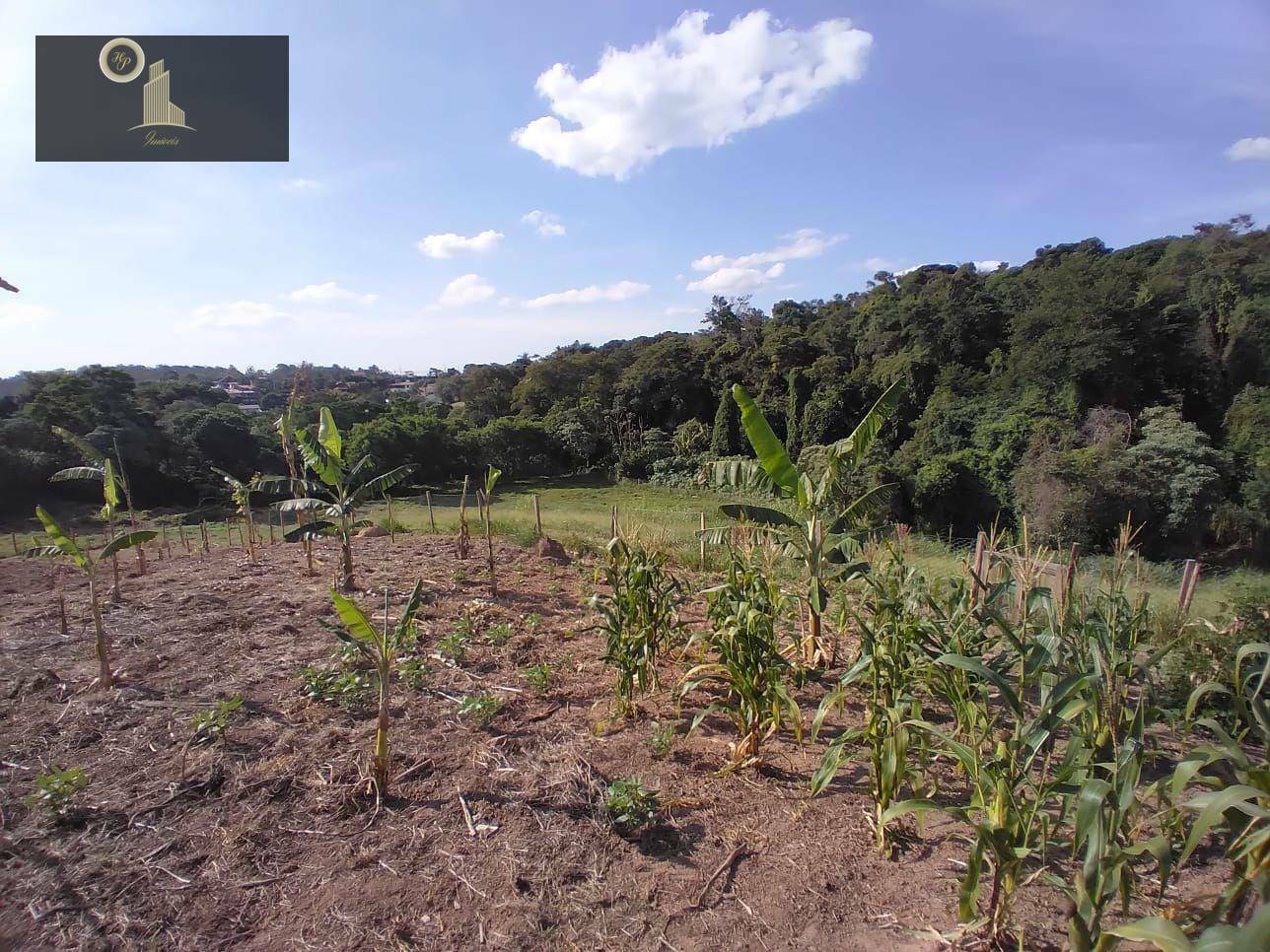 Terreno à venda, 21000M2 - Foto 15