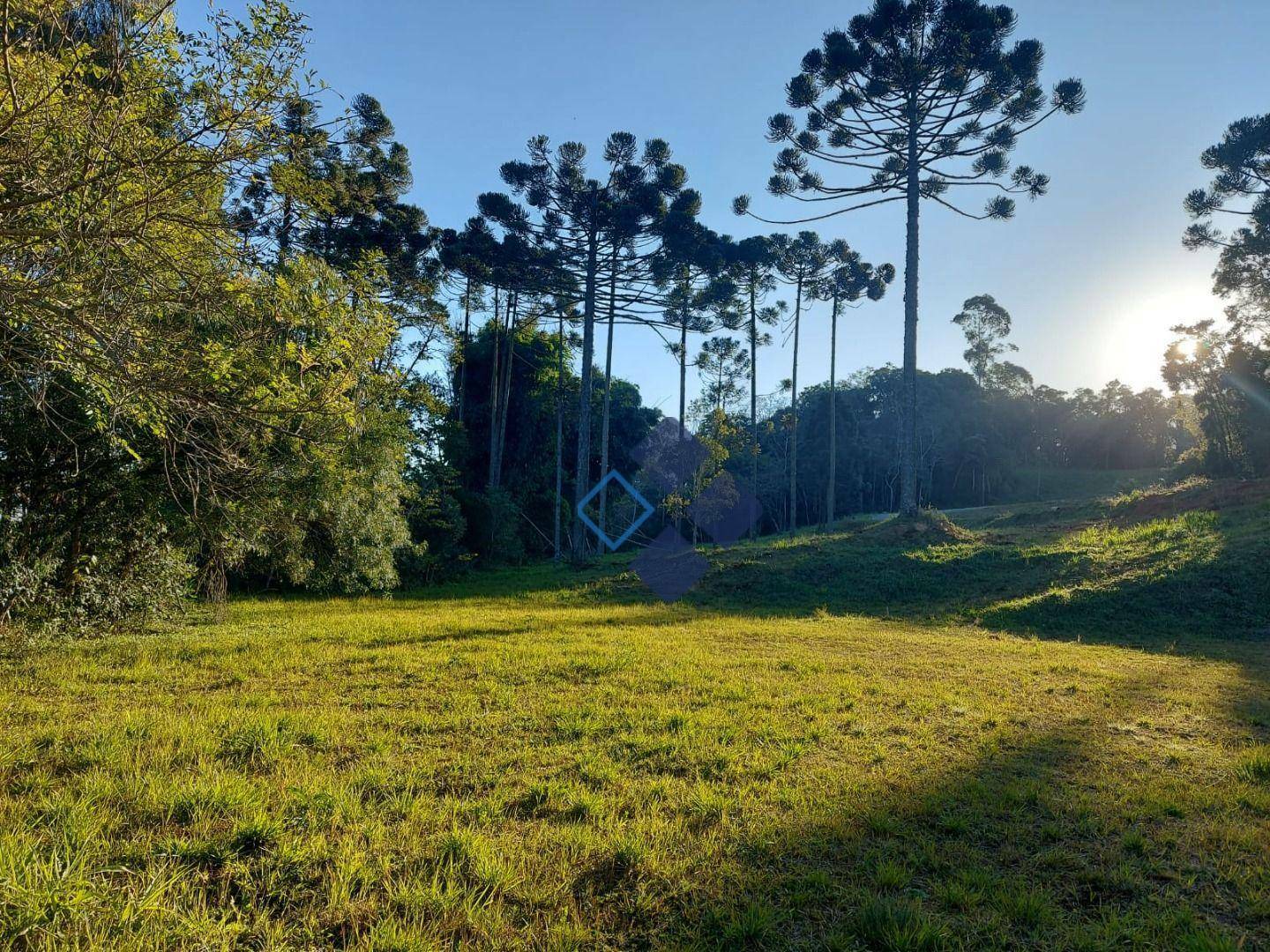 Loteamento e Condomínio à venda, 1161M2 - Foto 2