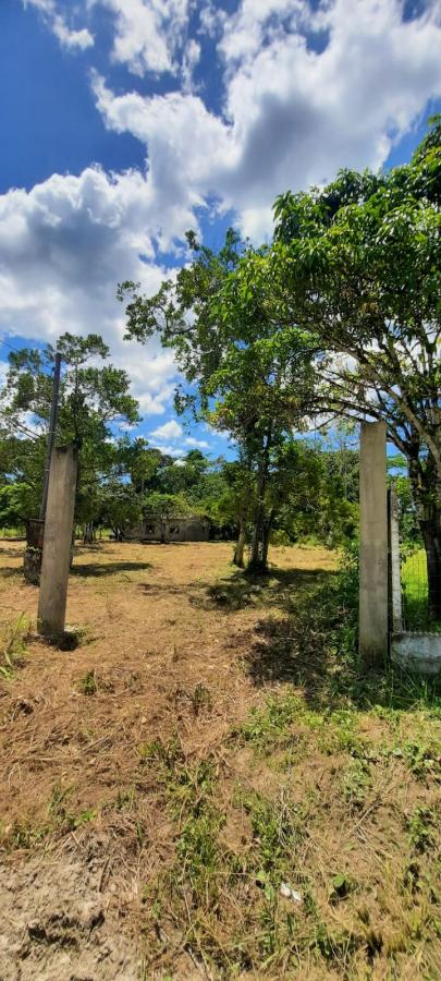 Fazenda à venda com 2 quartos, 3500m² - Foto 11