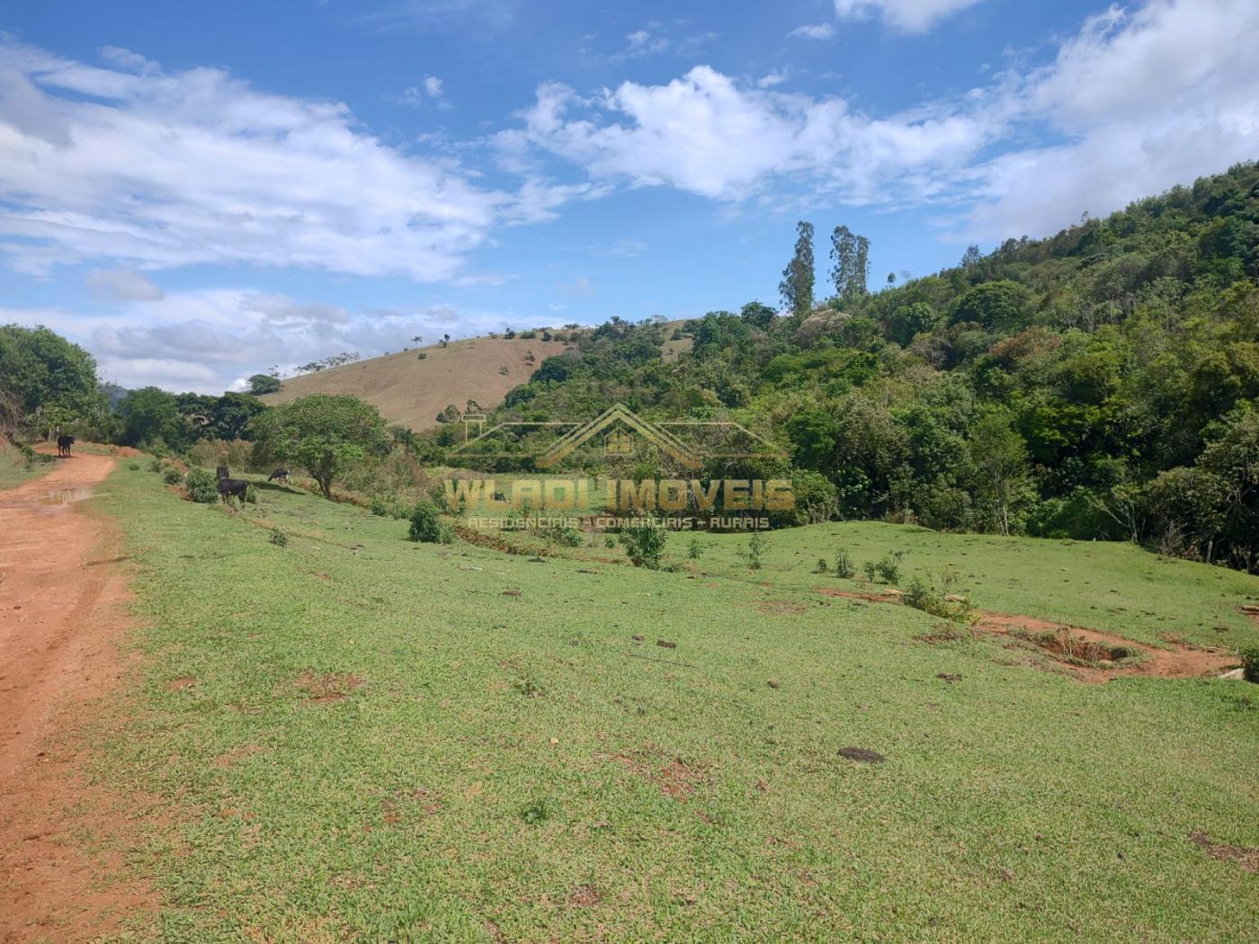 Fazenda à venda, 10m² - Foto 3