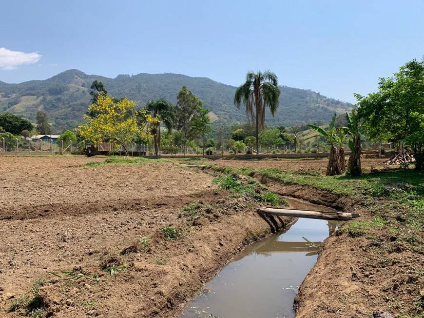 Fazenda à venda com 4 quartos, 45m² - Foto 13