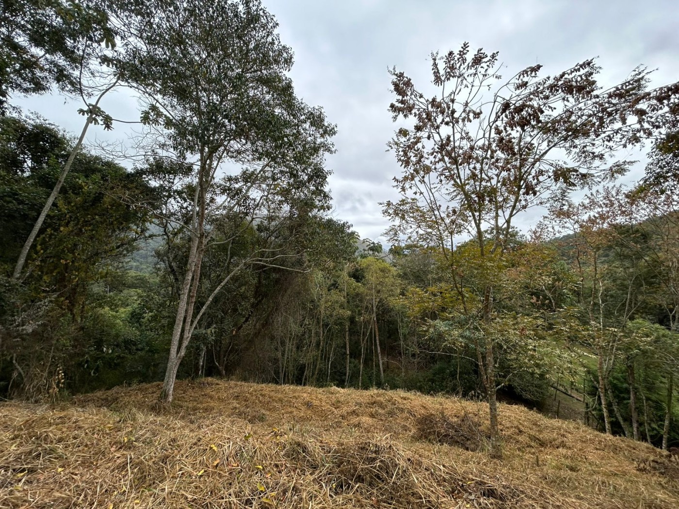 Terreno à venda, 178000m² - Foto 33