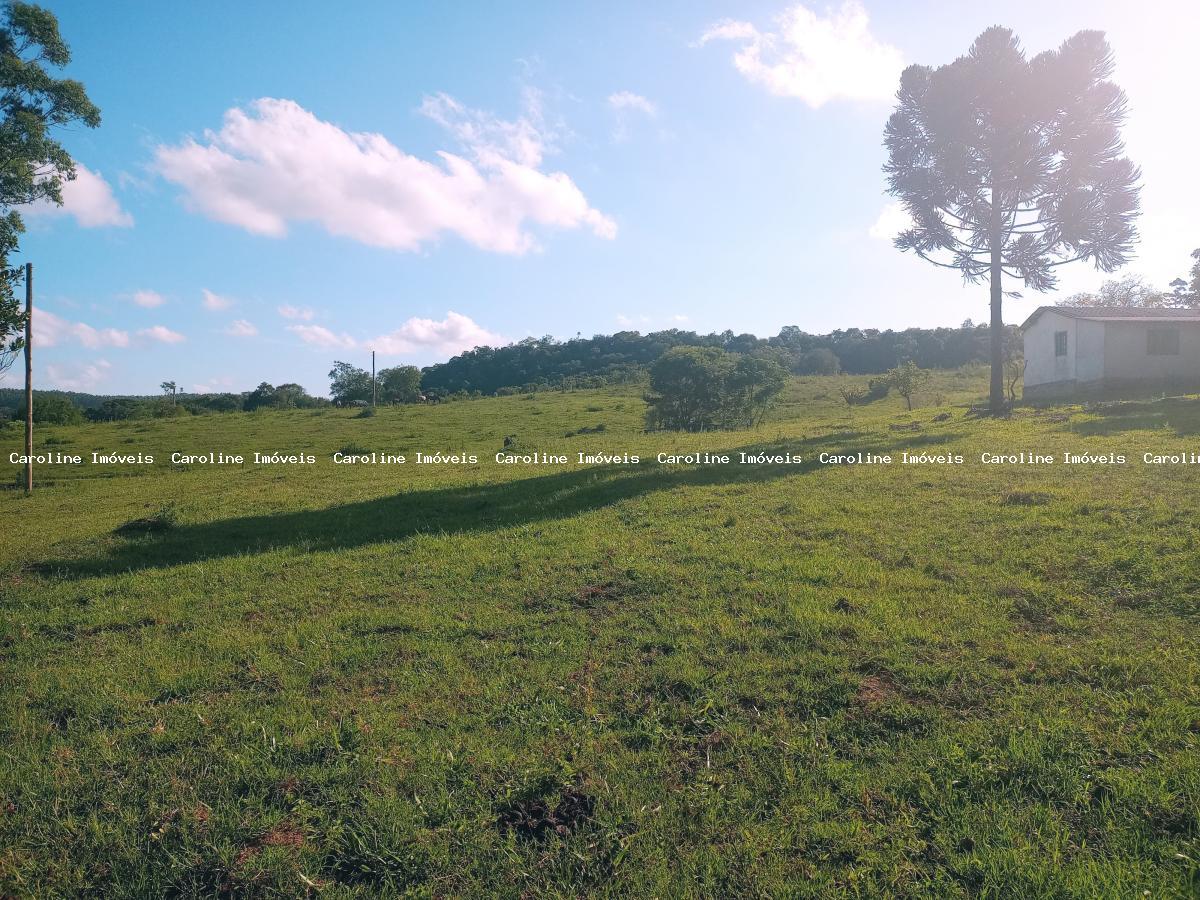 Fazenda à venda com 2 quartos, 400000m² - Foto 16