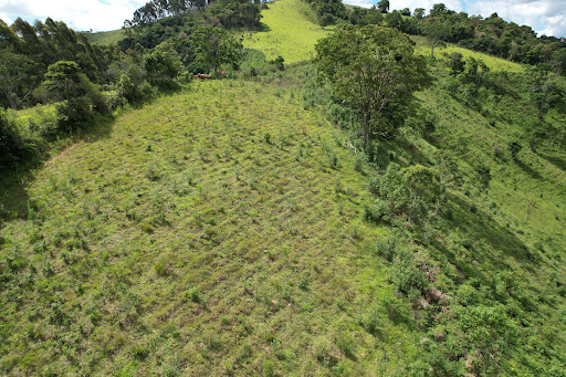 Terreno à venda, 75000M2 - Foto 2