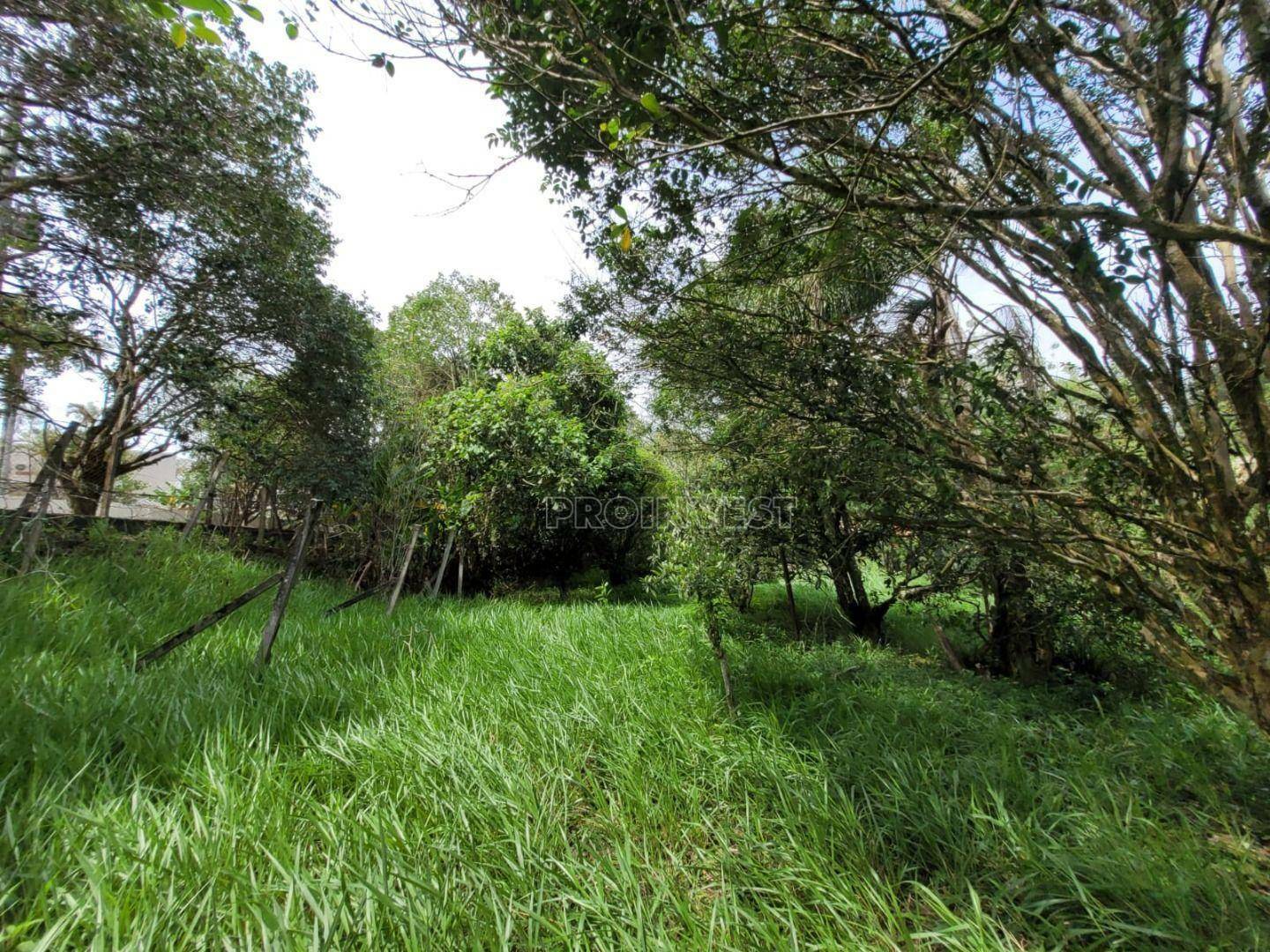 Loteamento e Condomínio à venda, 1085M2 - Foto 8