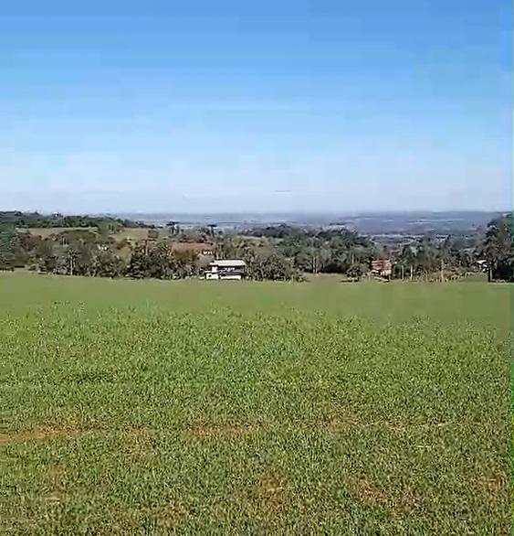 Fazenda à venda, 4m² - Foto 5