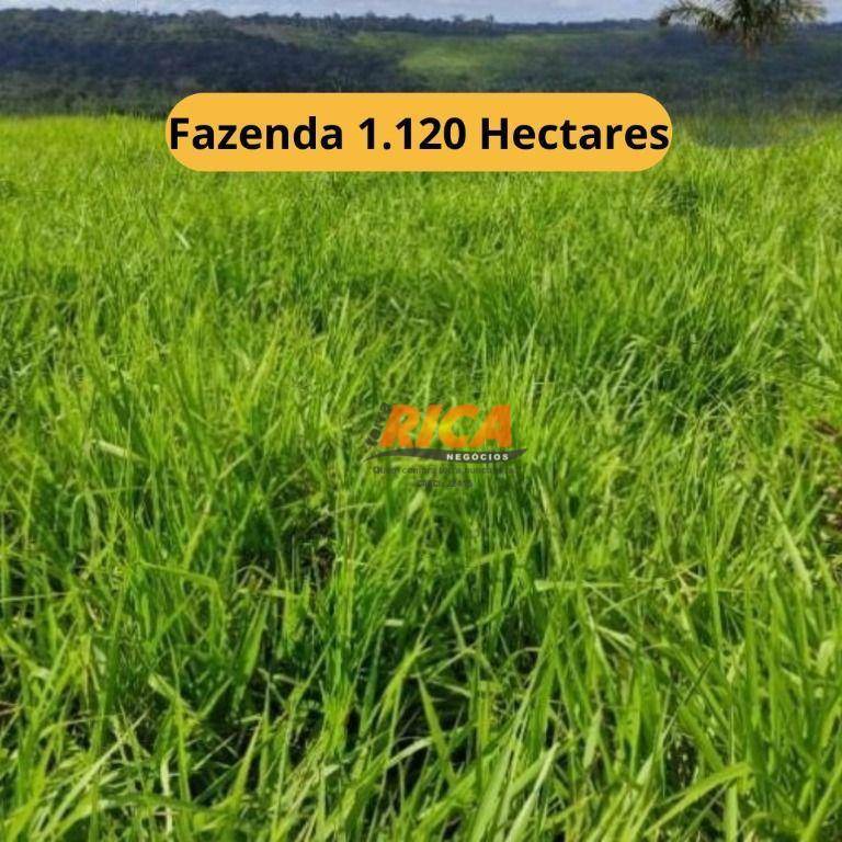 Fazenda-Sítio-Chácara, 1120 hectares - Foto 1