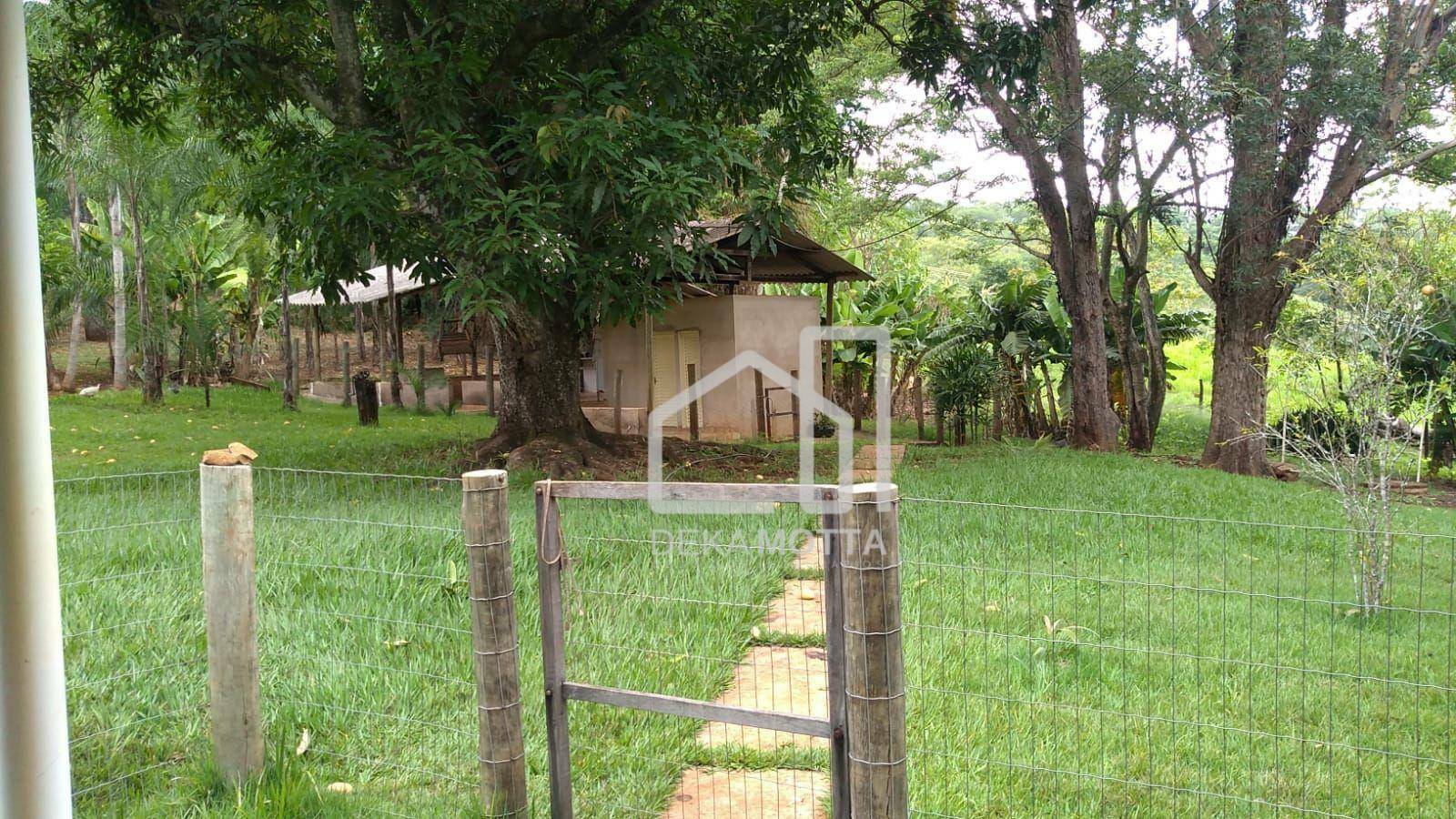 Fazenda à venda com 3 quartos, 250000M2 - Foto 14